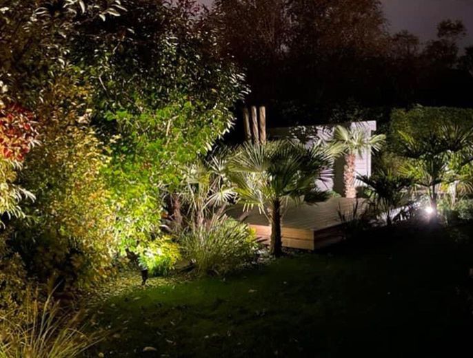 Jardin dans la nuit éclairé par des lumières artificielles 