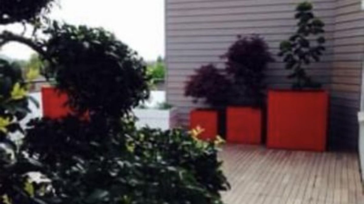 Pots de fleurs cubiques sur une terrasse en bois 