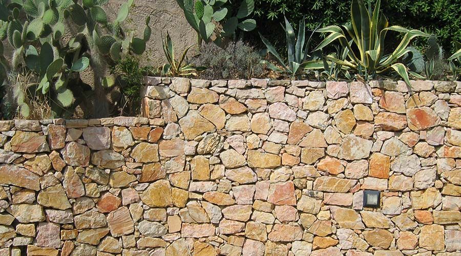 Mur en pierre recouvert de cactus et autres plantes.