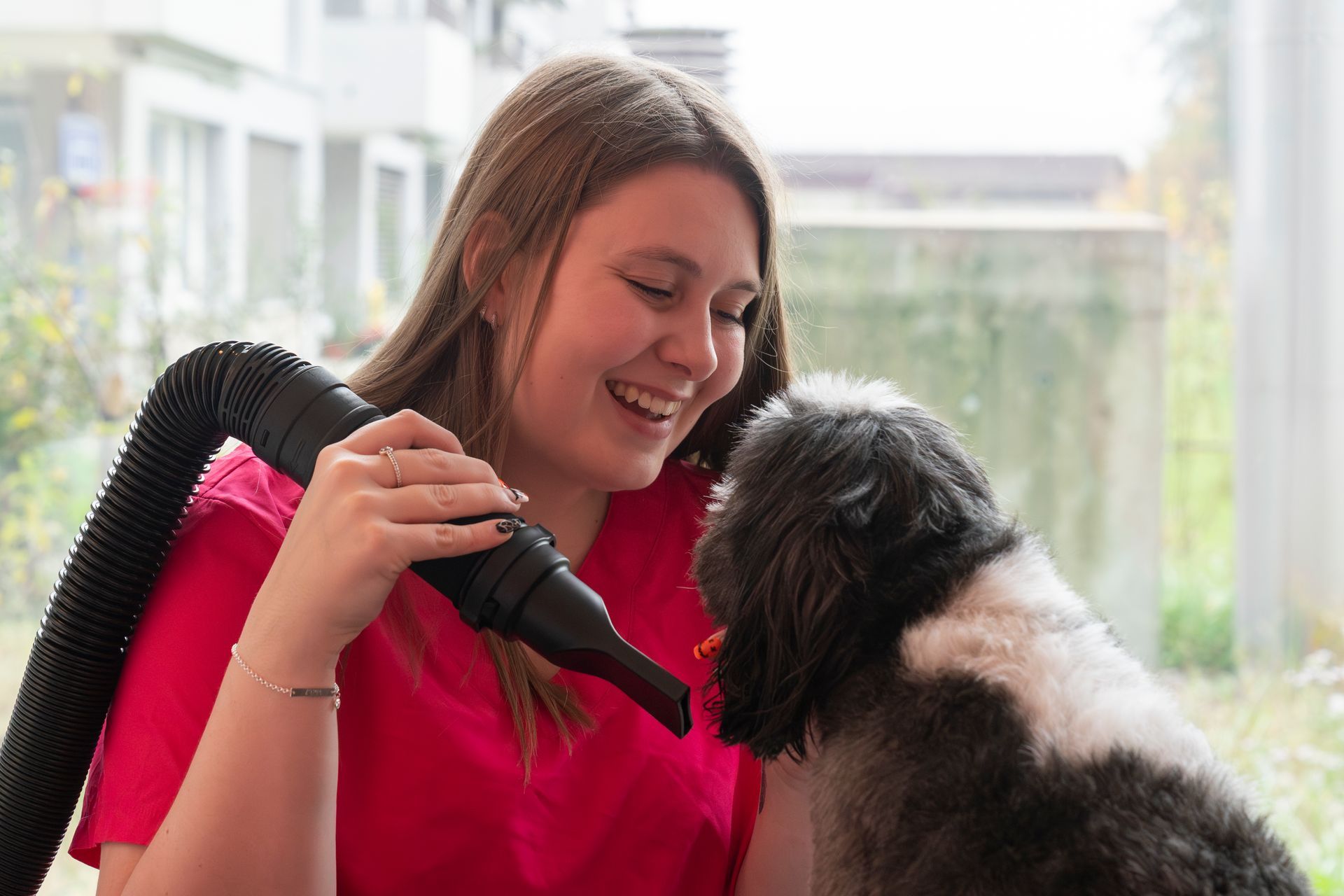 Tiersalon (Hunde-/Katzen-Coiffeur) - Amee  - Galerie - Horn