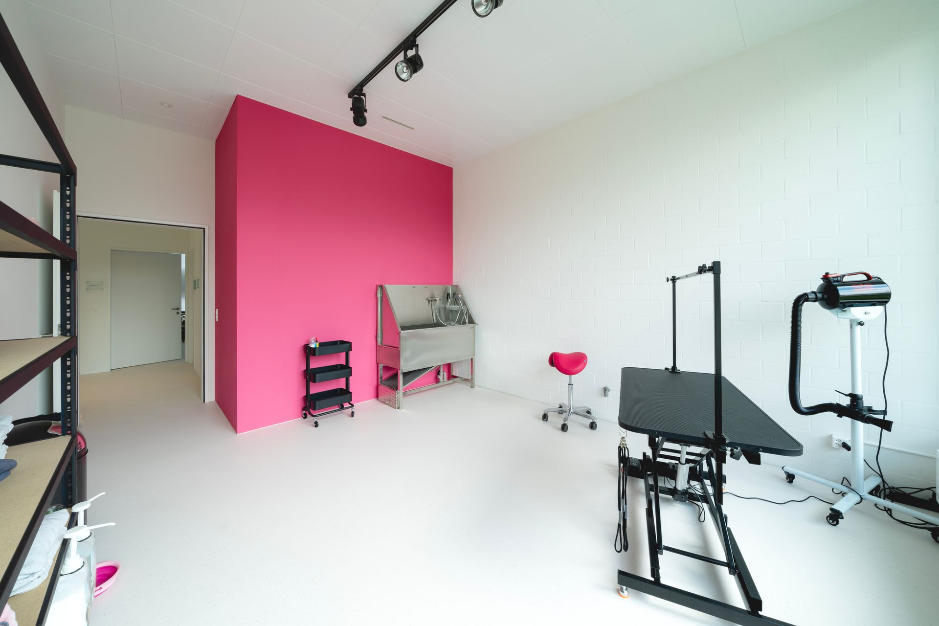 Tiersalon (Hunde-/Katzen-Coiffeur) - Amee  - Galerie - Horn