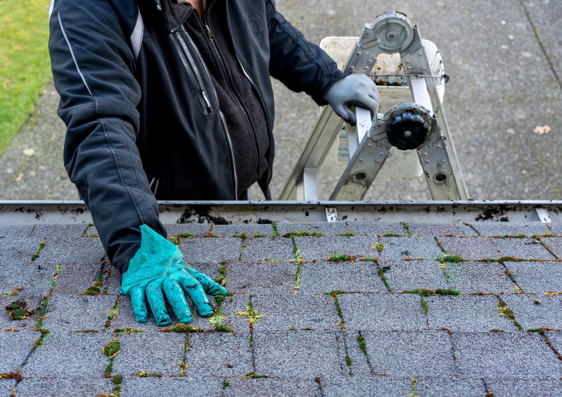 Un ouvrier inspecte un toit de bardeaux recouvert de mousse depuis une échelle.