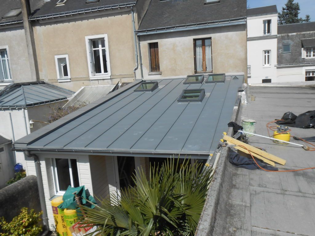 Toiture avec panneaux métalliques gris et puits de lumière, visible à côté d'une maison d'habitation et de plantes de jardin.