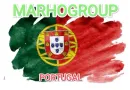 Una pintura de acuarela de la bandera de portugal