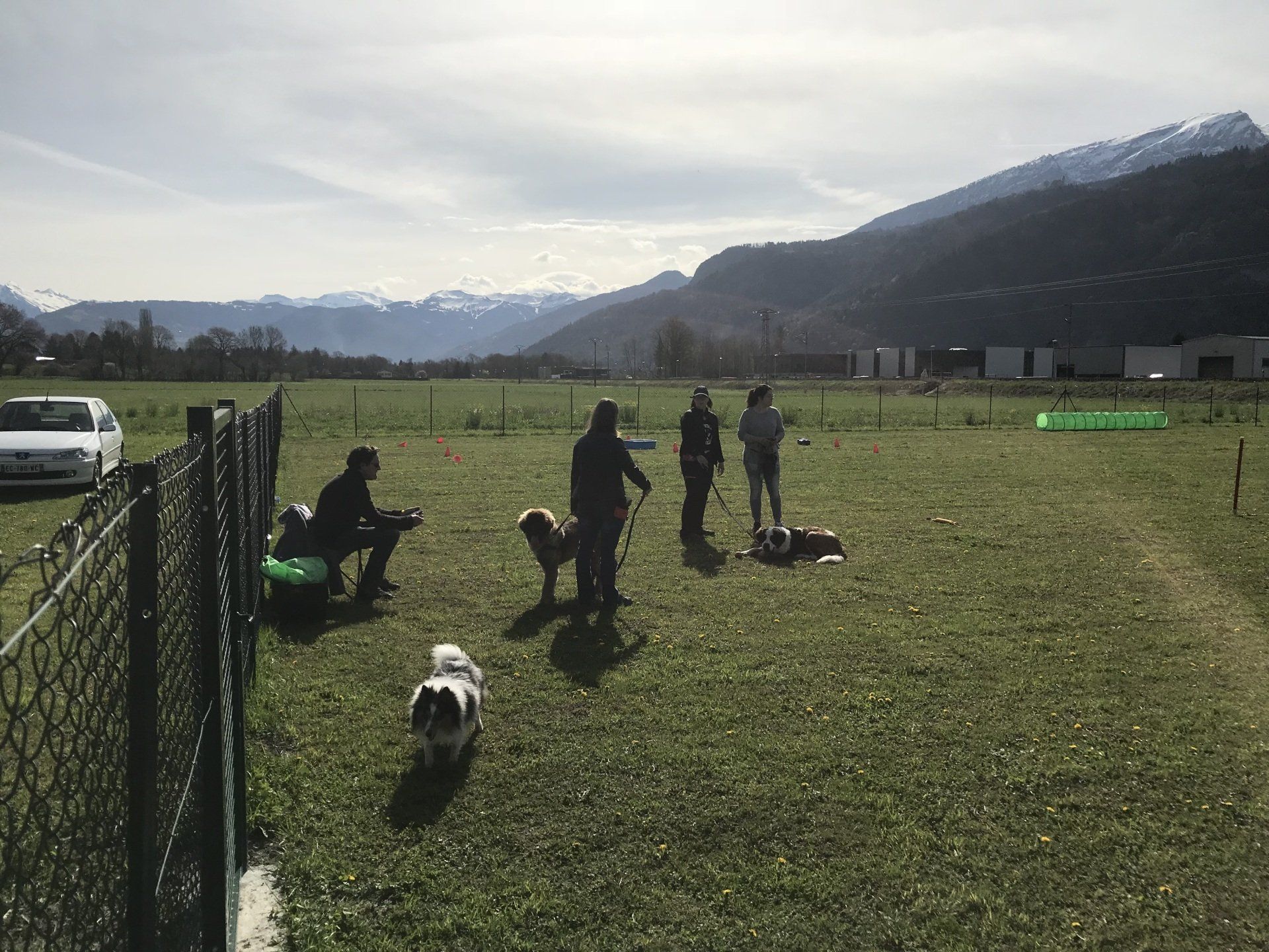 Éducation collective