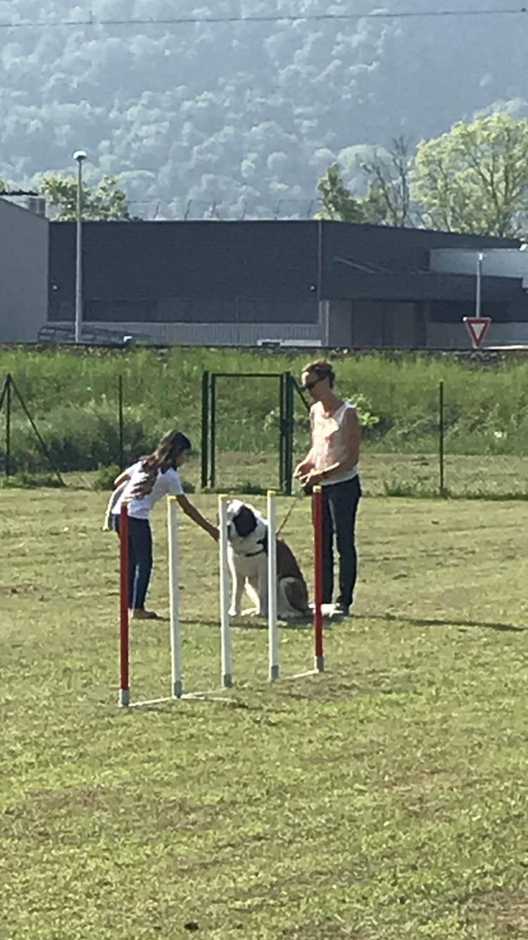 Éducation Individuelle