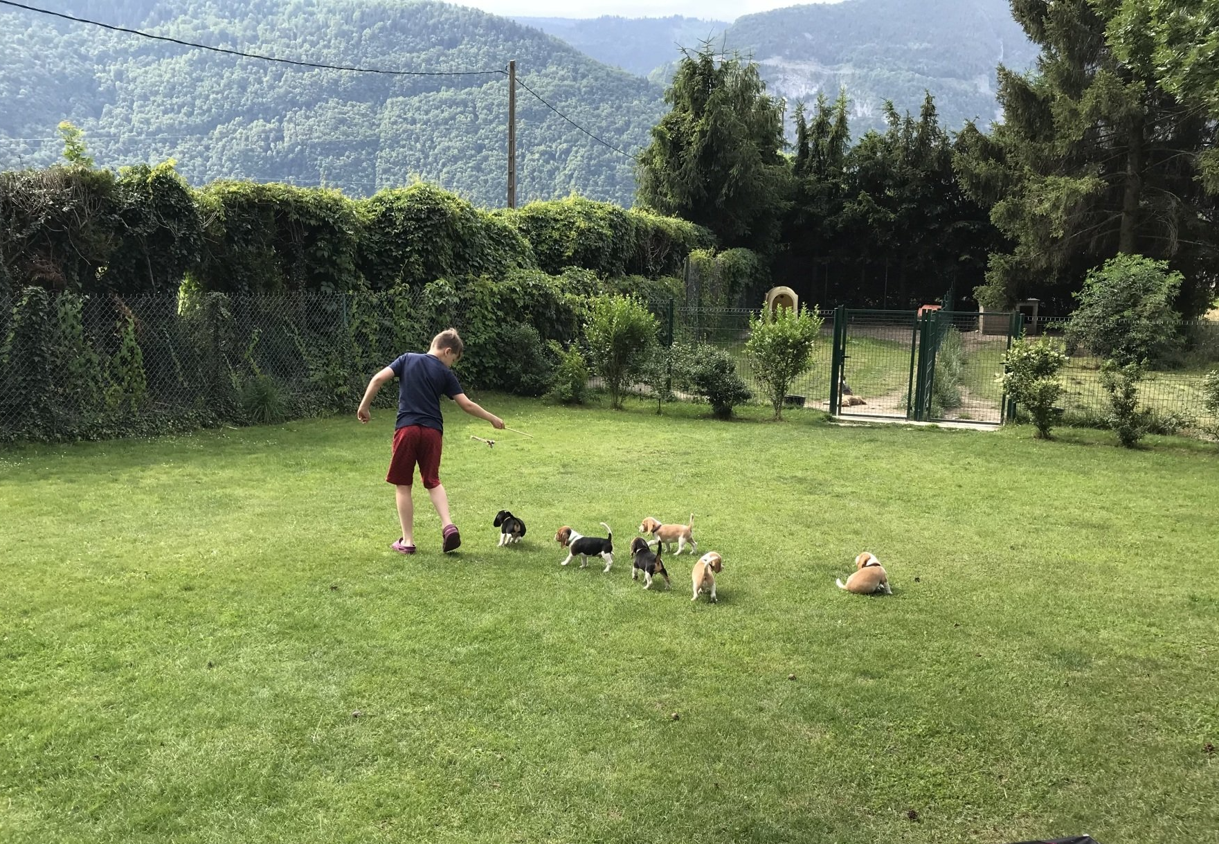 Le rappel... déjà ?