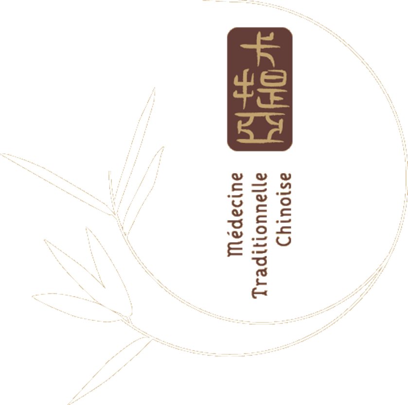 Katia Schambeck-logo