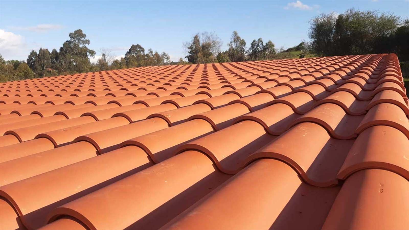 Una hilera de tejas rojas en un tejado con árboles al fondo.