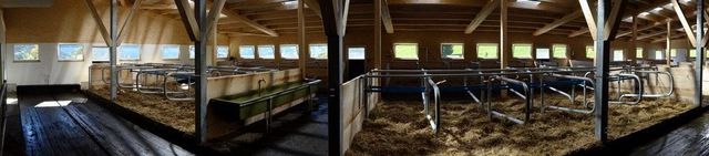 Haifmattenhof - Brawand Zimmerei AG