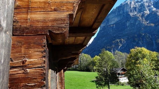 Altholz - Brawand Zimmerei AG