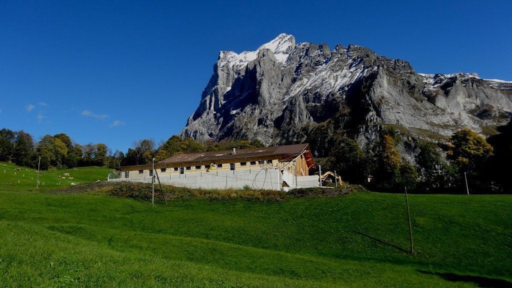 Haifmattenhof - Brawand Zimmerei AG