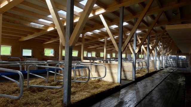 Haifmattenhof - Brawand Zimmerei AG