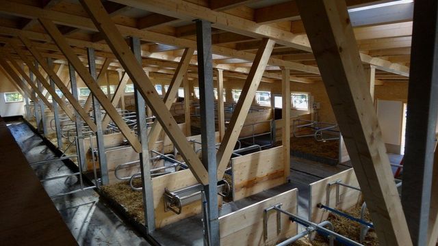 Haifmattenhof - Brawand Zimmerei AG