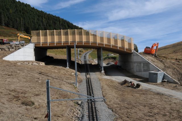 Skibrücke Wixi - Brawand Zimmerei AG