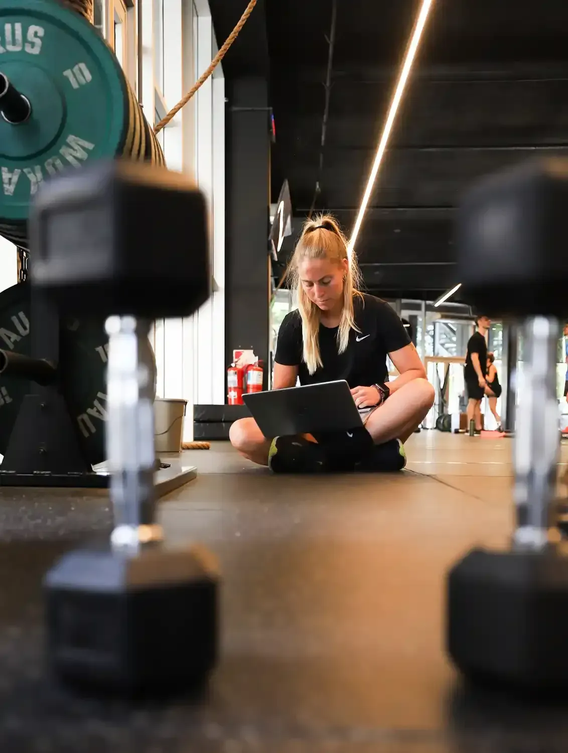 planes de entrenamiento online