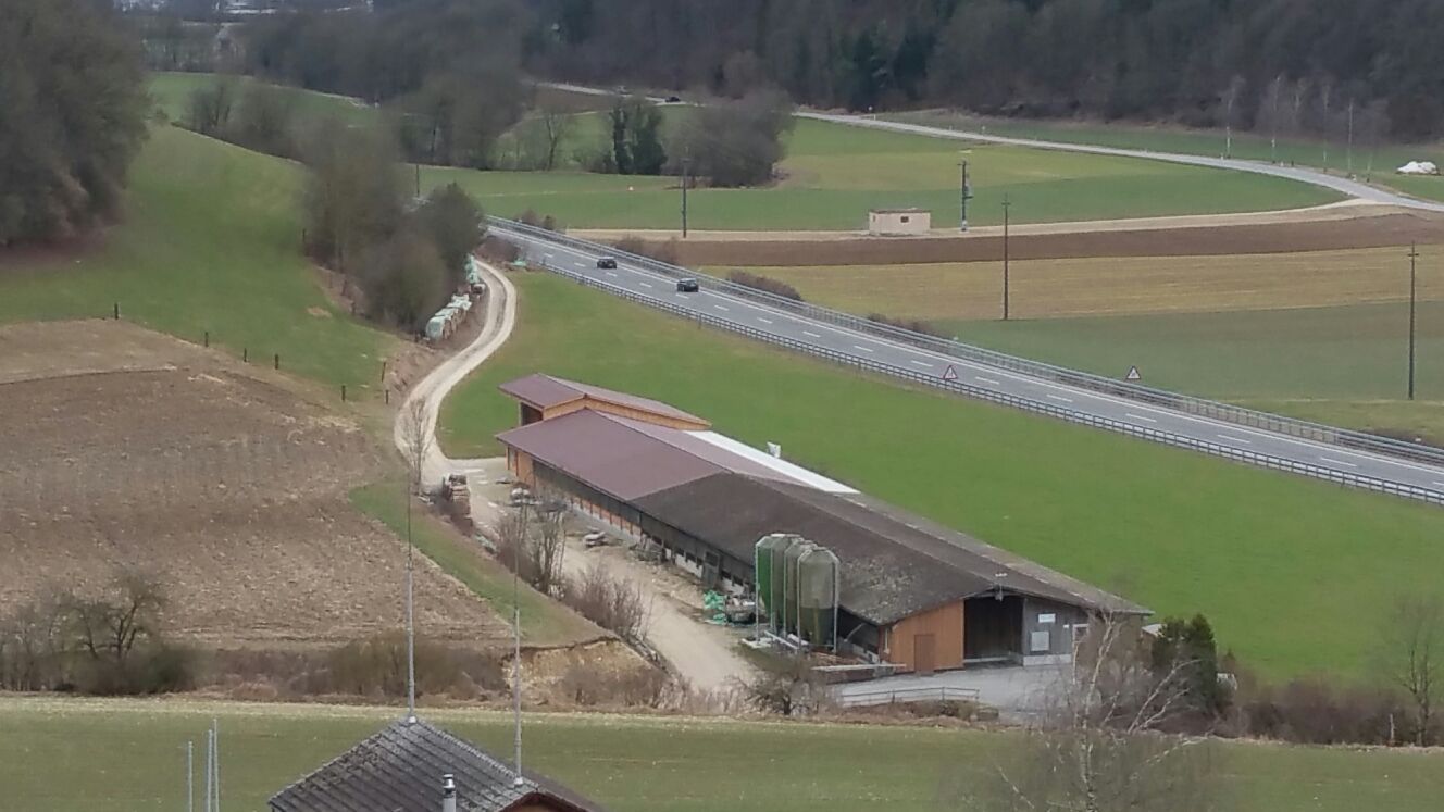 Hühnerstall-Erweiterung mit angebauter Remise - Tanner Holzbau & Sägerei AG