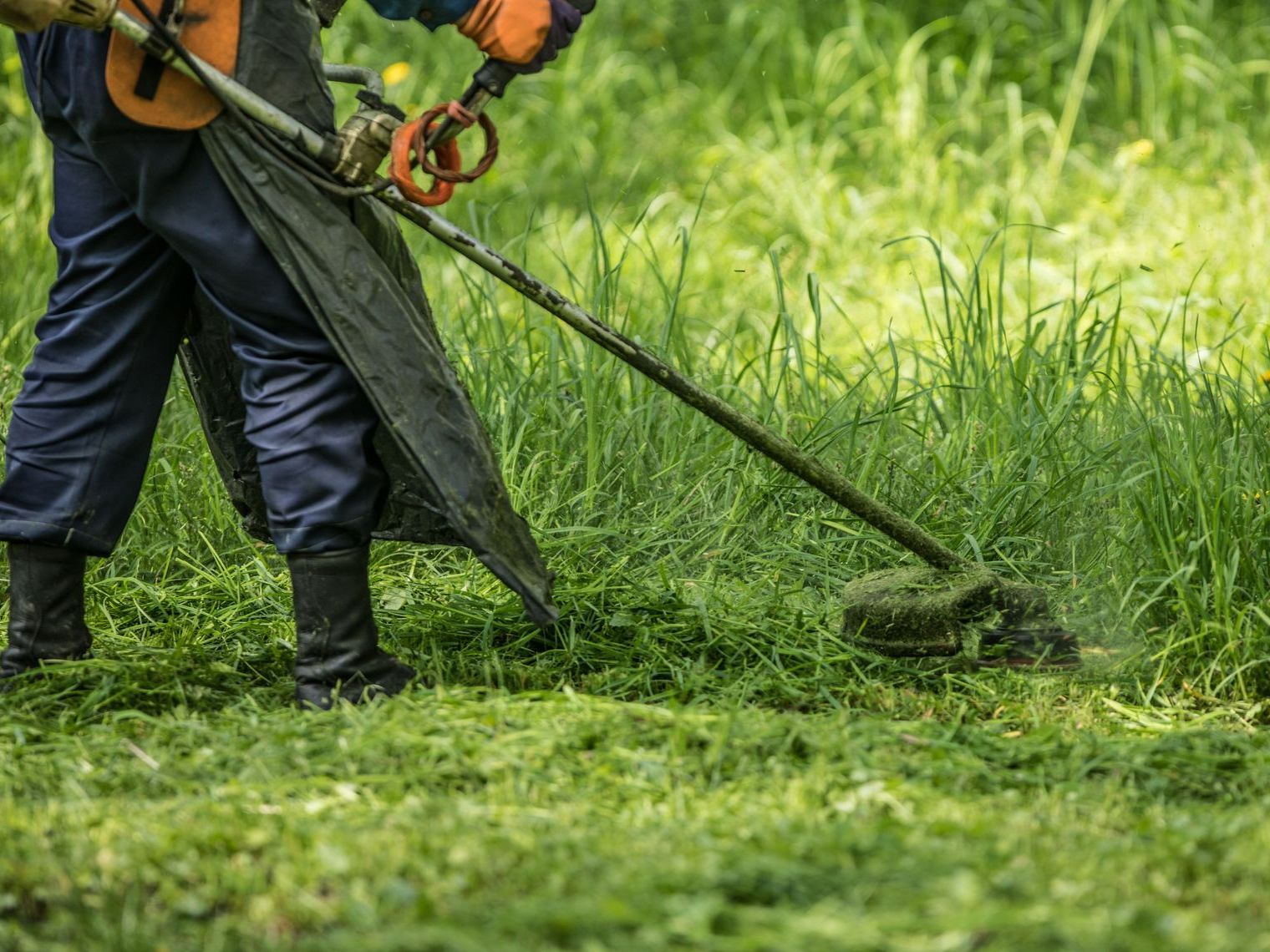 Débroussaillage de terrain