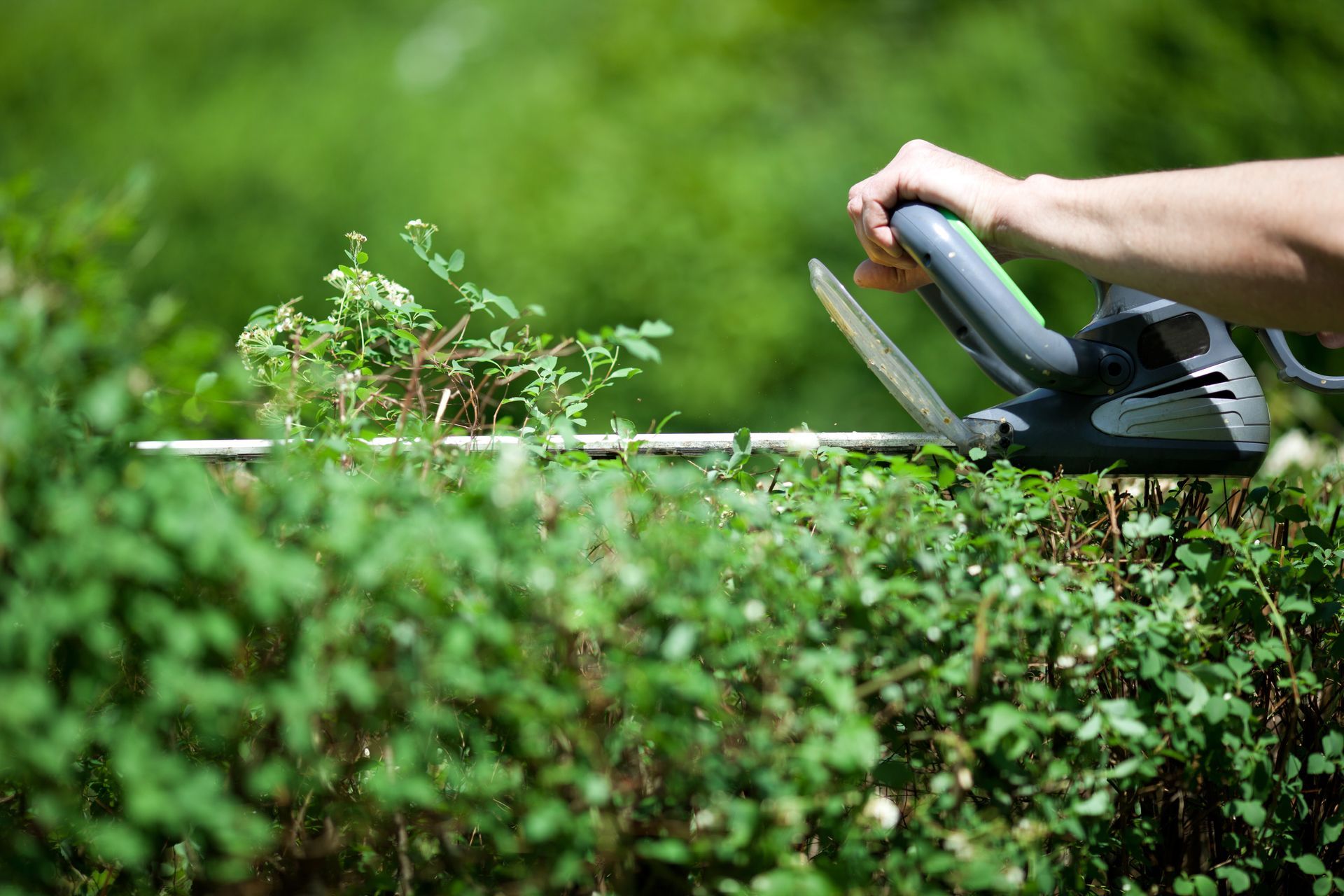 Travaux de jardinage
