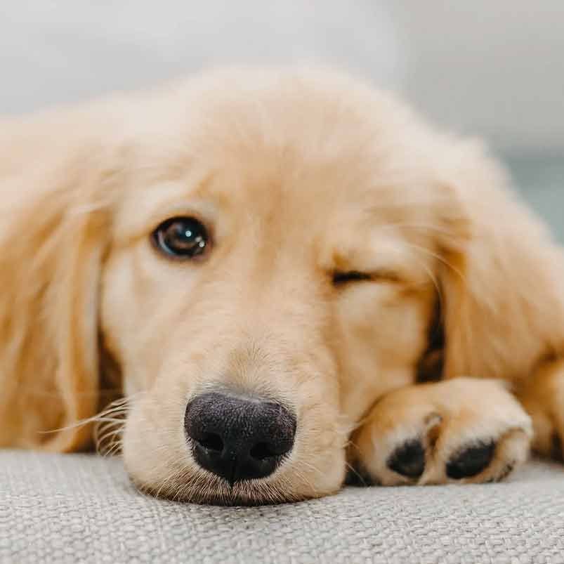 Eine Frau in einer schwarzen Jacke und einem grauen Hemd lächelt.