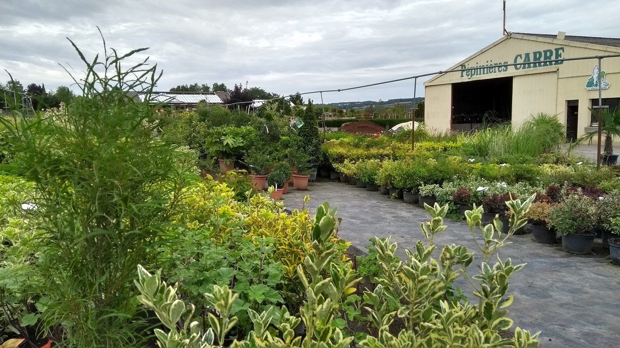 Jardinerie à Blesmes