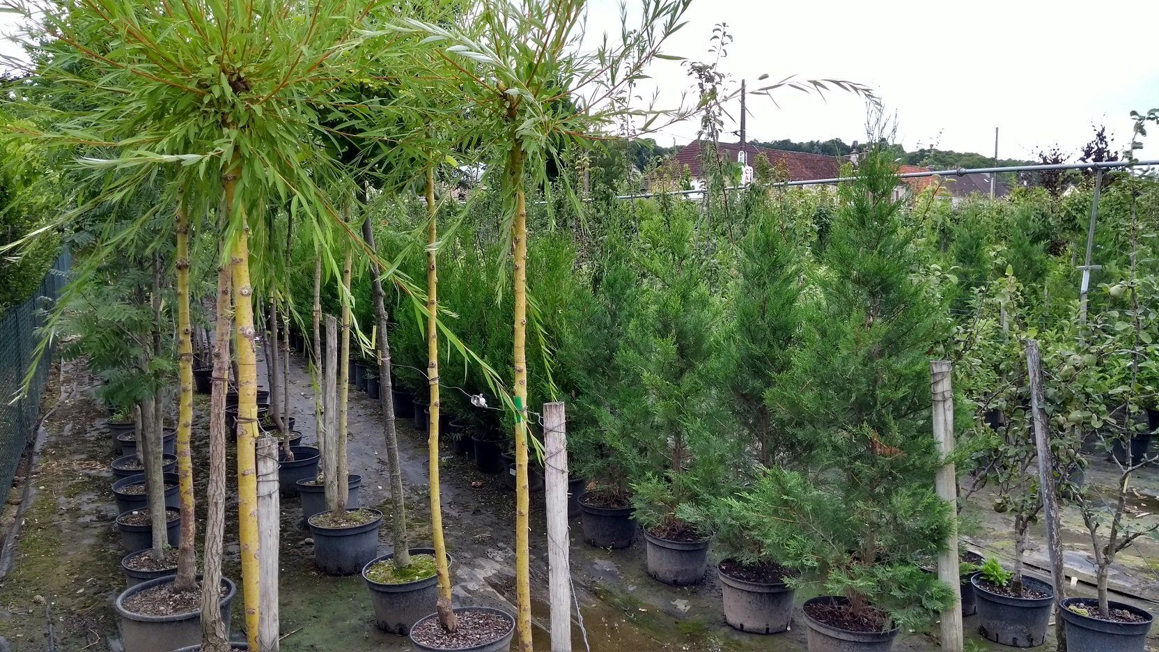 Création et aménagement de jardin