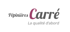 Logo Pépinières Carré