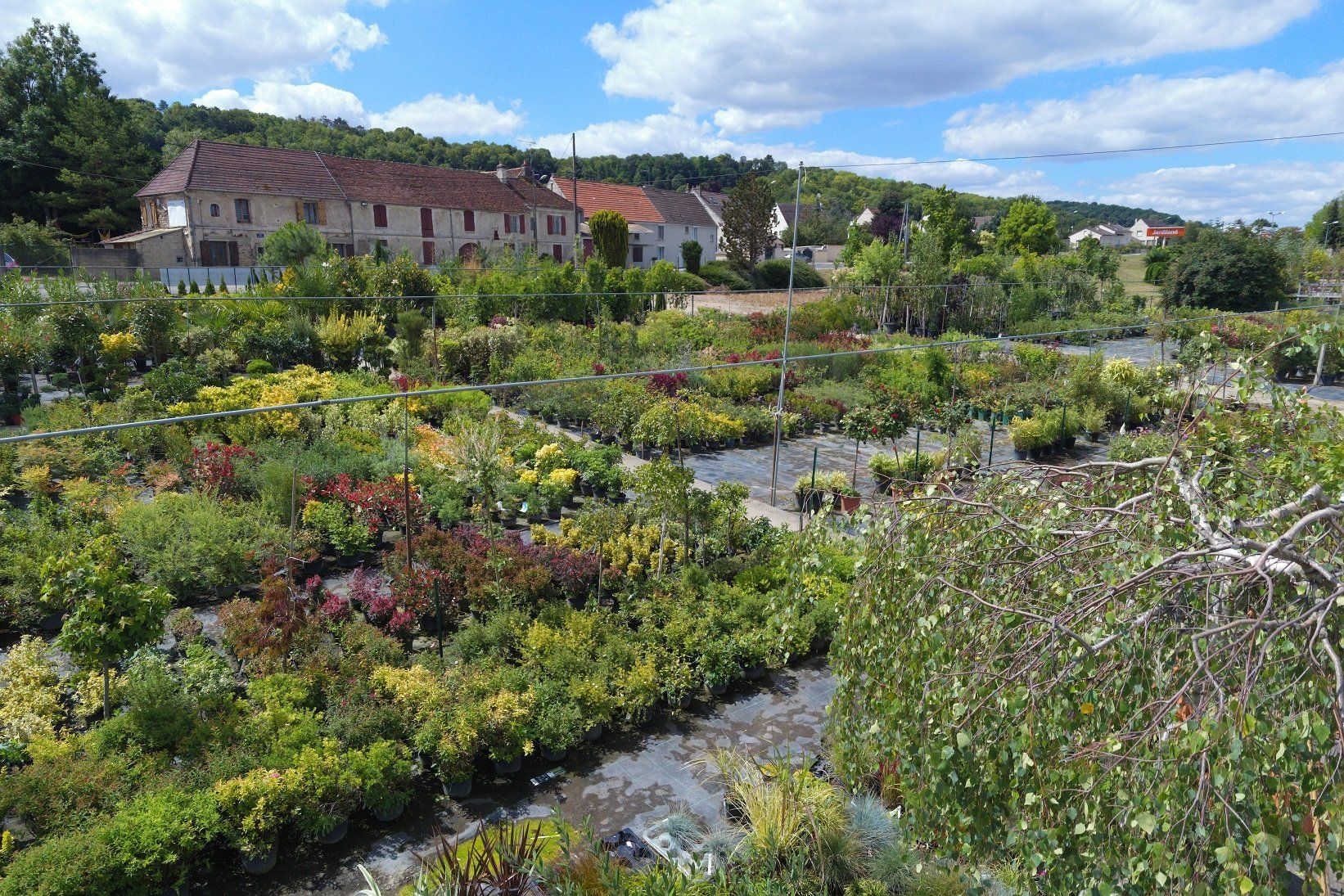 Pépiniéristes-paysagistes