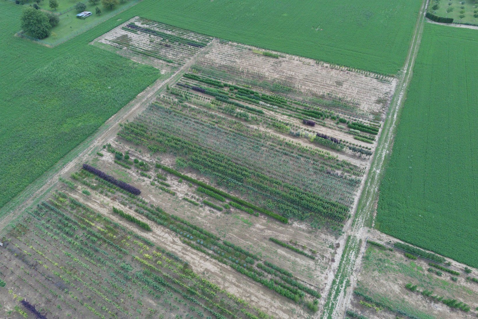 Production de végétaux