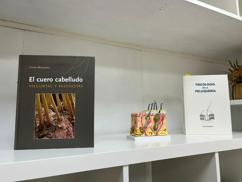 Dos libros sobre la salud del cabello y un pequeño modelo anatómico de piel humana sobre un estante blanco.