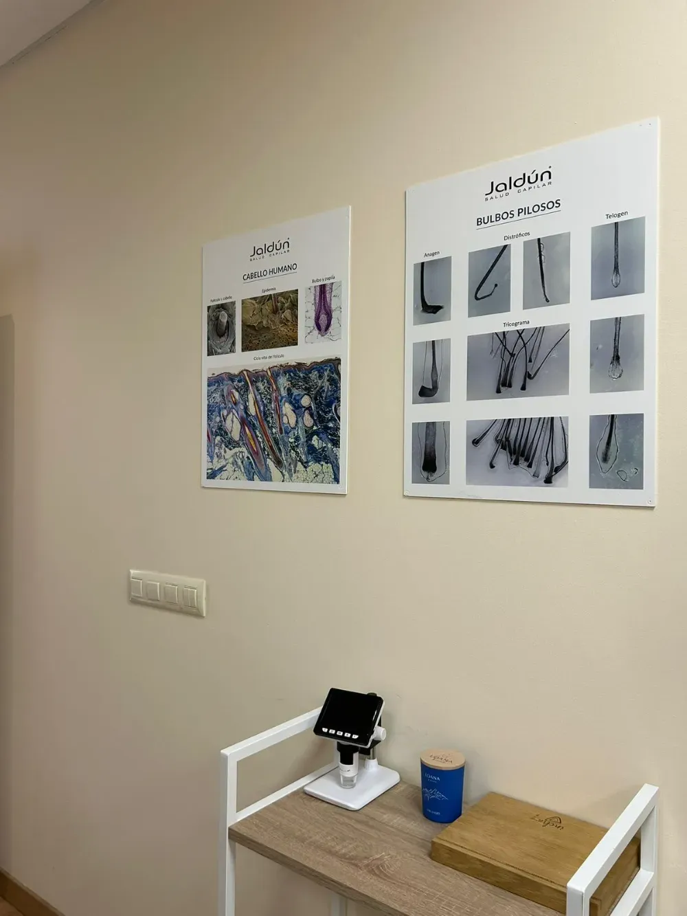 En una pared de color beige cuelgan dos fichas médicas sobre la salud del cabello, encima de una mesita.