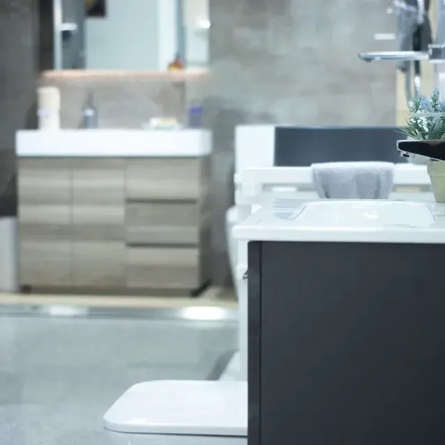 Exhibición de baño: inodoro blanco, lavabo gris, tocador de madera en una sala de exposición.