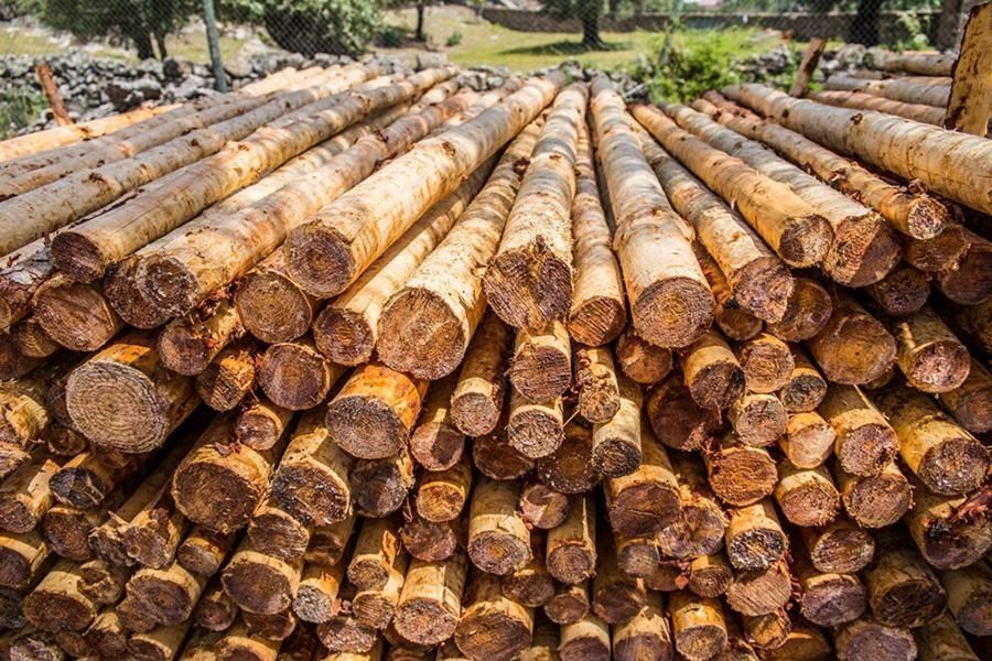Una pila de troncos apilados uno encima del otro en un campo.