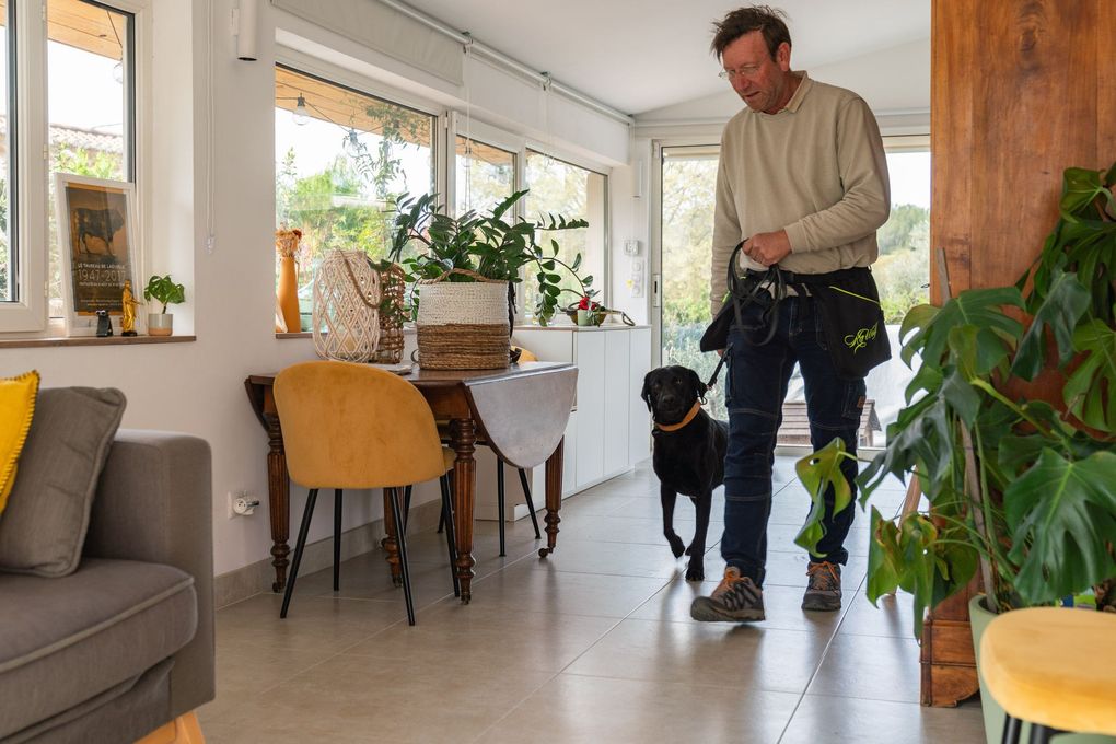 Une personne vêtue d'un pull beige promène un chien noir dans un salon moderne et ensoleillé, agrémenté de plantes et de chaises jaunes.