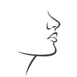 Dibujo lineal del rostro de una persona de perfil, mostrando la nariz, los labios y el mentón.