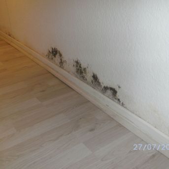 Schimmelbefall über der Fußleiste an der Wand