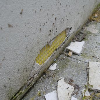 schadhafte Stelle im Putz