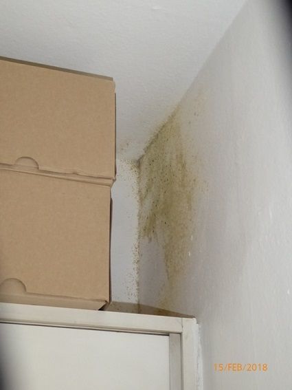 Schimmelbefall rechte obere Zimmerecke