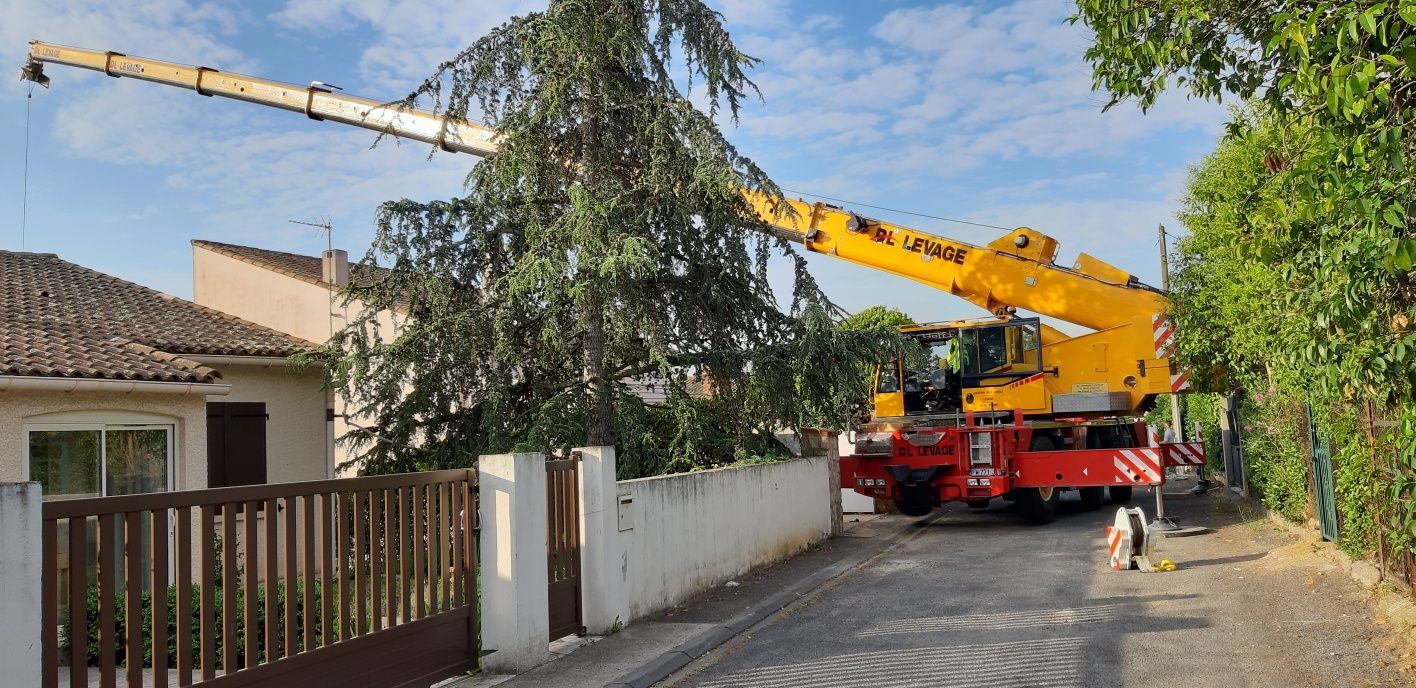 Manutention levage abattage