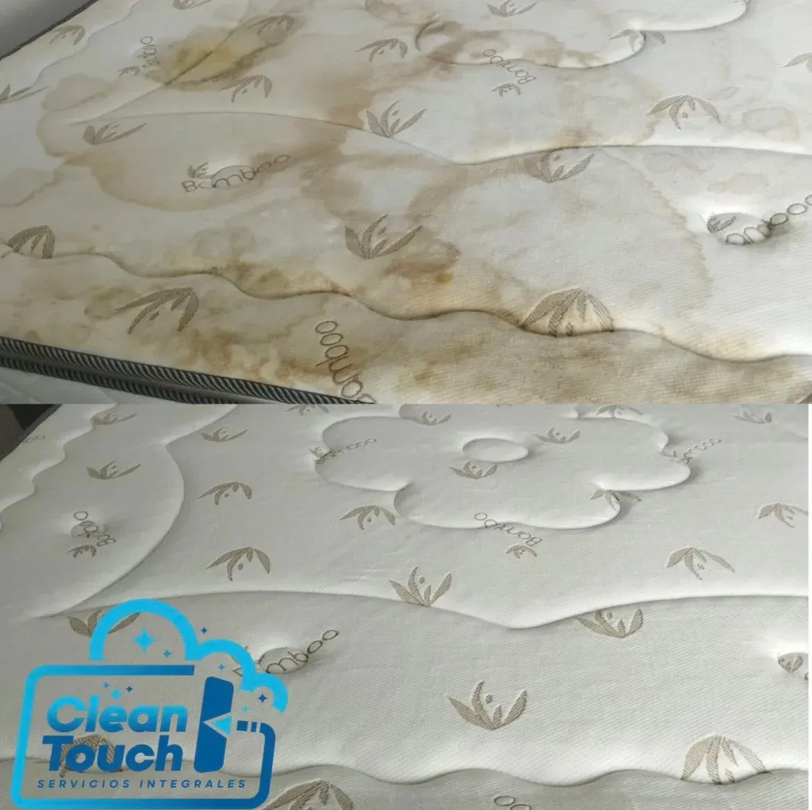 proyectos antes y después