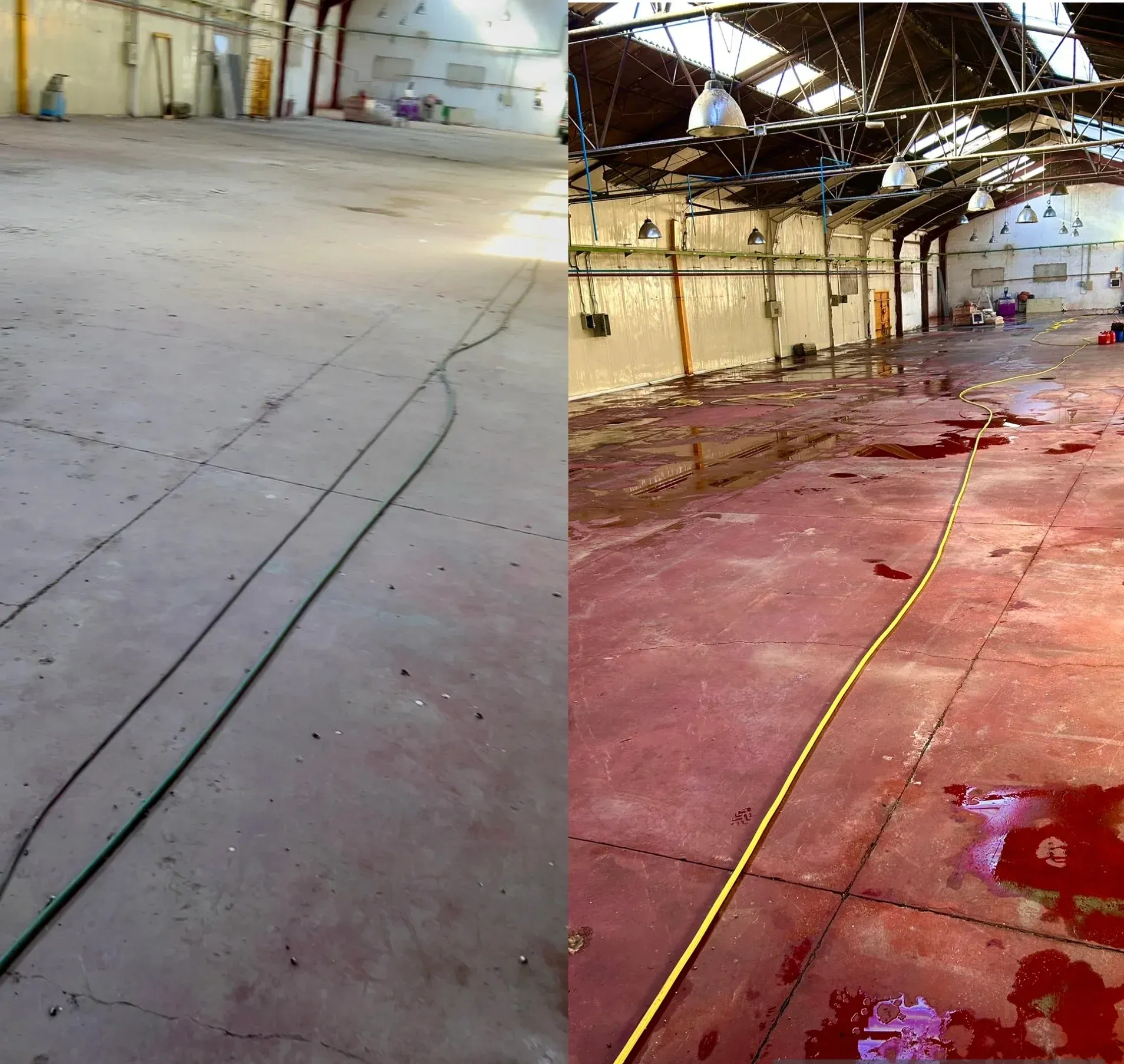 proyectos antes y después