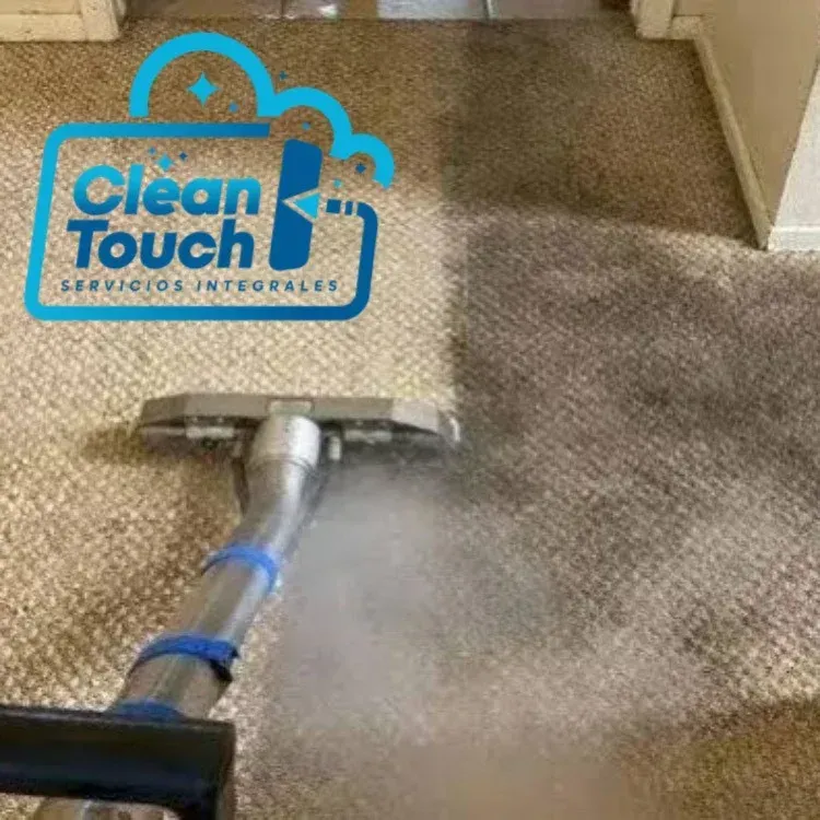 proyectos antes y después