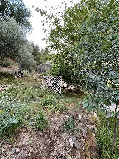 Una valla de madera está rodeada de árboles y rocas en un jardín.