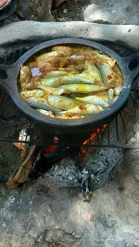 Una olla de comida se está cocinando en el fuego.