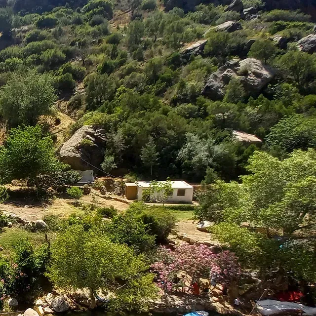 Una vista aérea de una exuberante ladera verde con árboles y rocas.