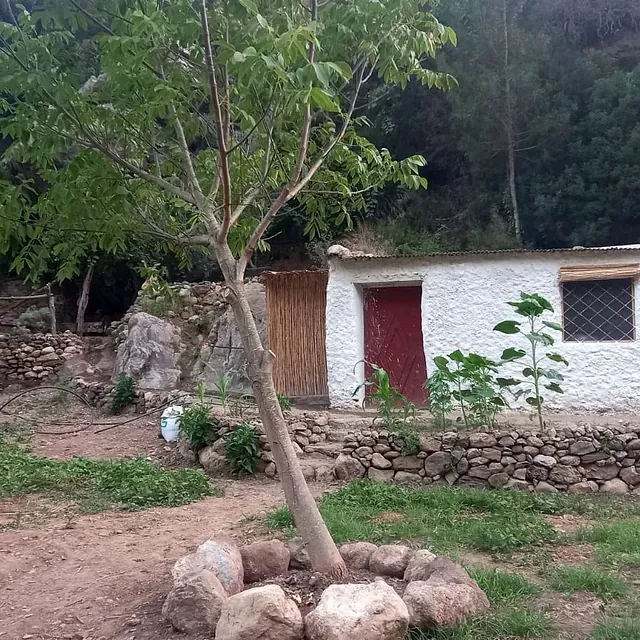 Una pequeña casa con una puerta roja y un árbol delante de ella.