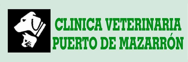 logotipo cabecera