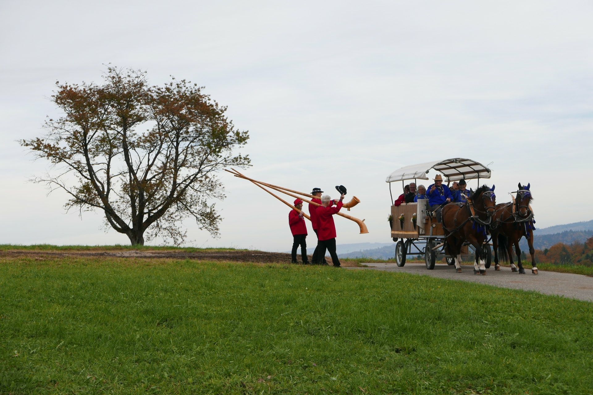 Ross und Wagen - Musikhaus Lüthy