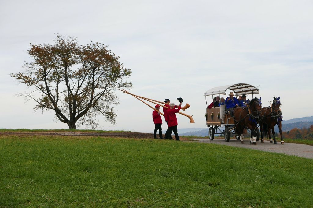 Beny - Musikhaus Lüthy