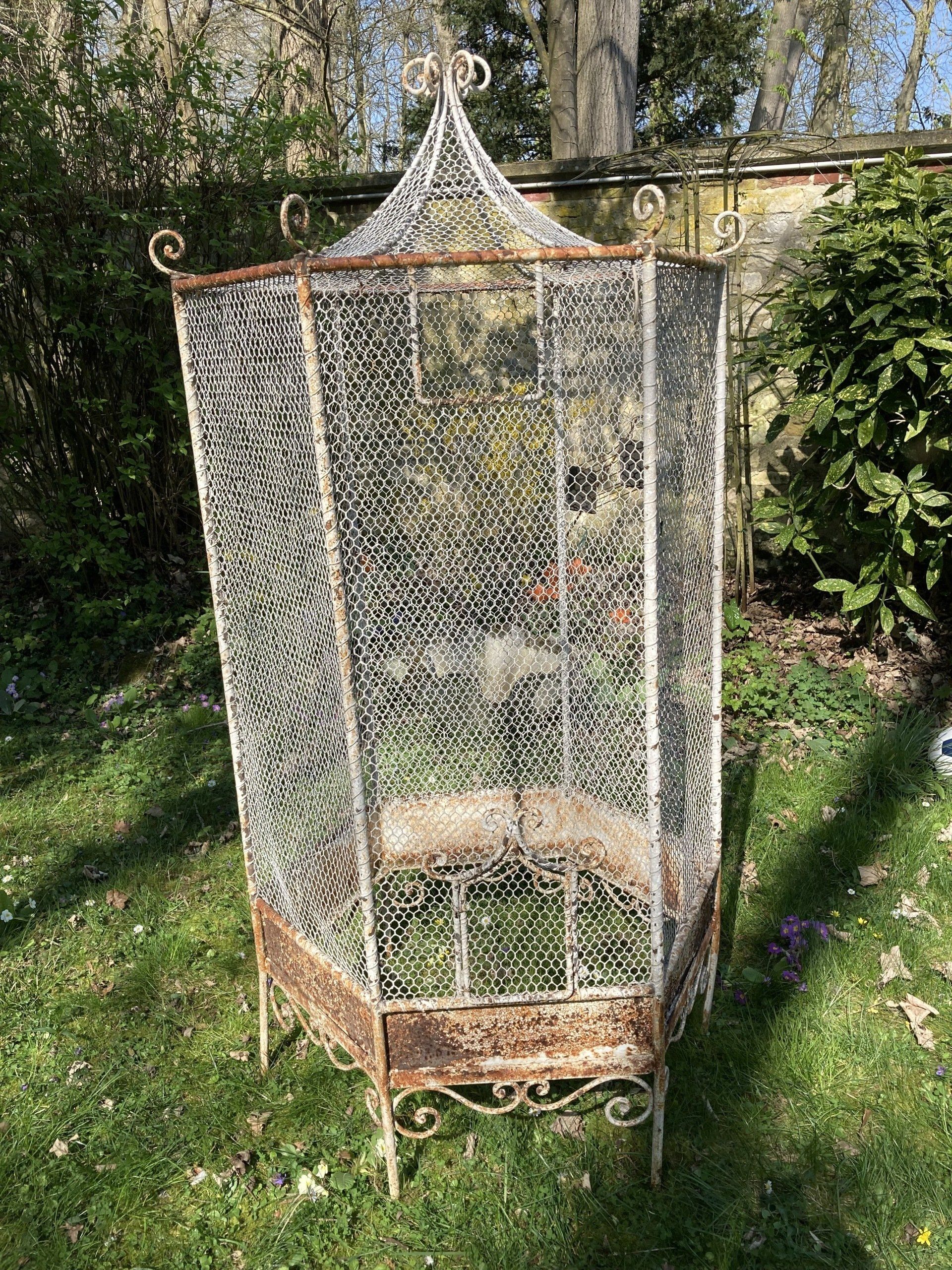 CAGE A OISEAUX 19ème siècle